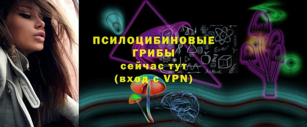 амф Алзамай