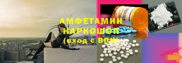мет Алексин