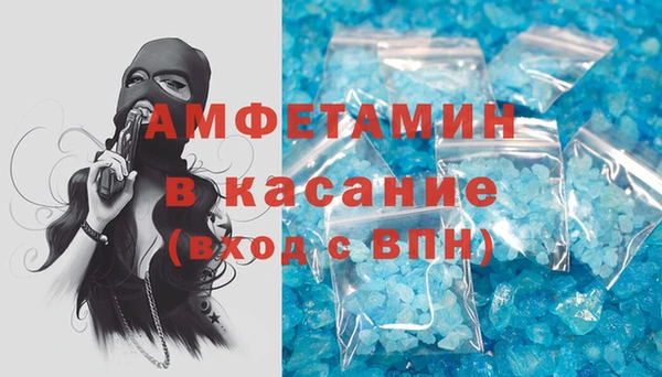 мет Алексин