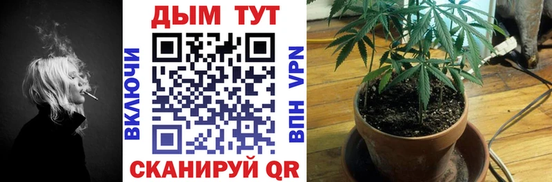 Конопля Bruce Banner  Донской 